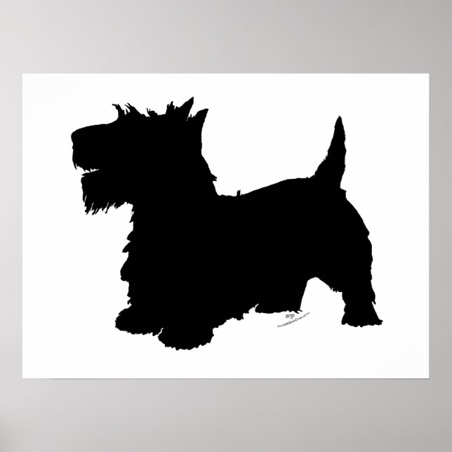 Skotsk Terrier Silhuett Poster (Framsidan)