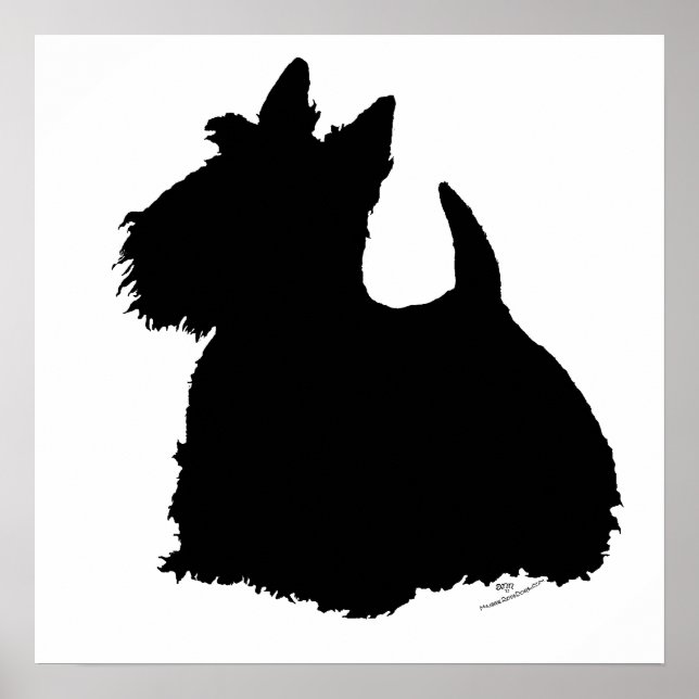 Skotsk Terrier Silhuett Poster (Framsidan)