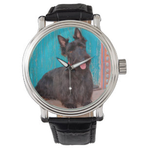 Skotsk terrier som sitter vid en färgrik dörröppni armbandsur