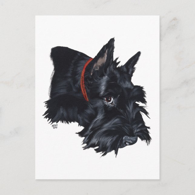 Skotsk terrier som vilar vykort (Framsida)
