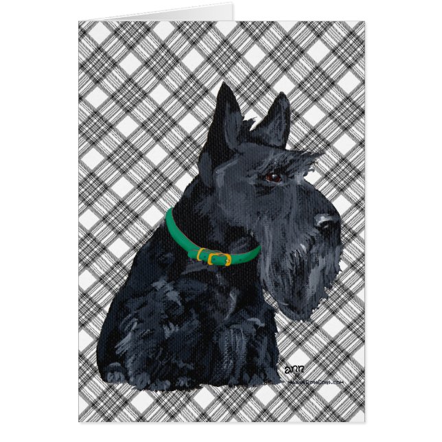 Skotsk terrier St Patricks Day Hälsningskort (Framsidan)