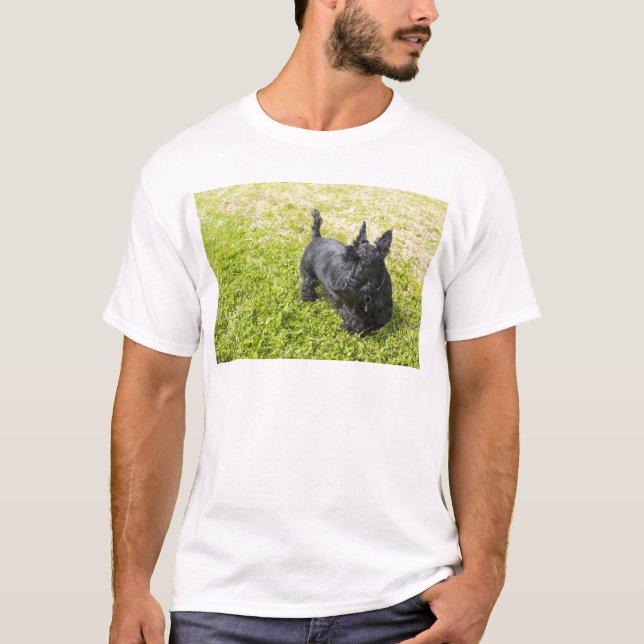 Skotsk terrier tee shirt (Framsida)