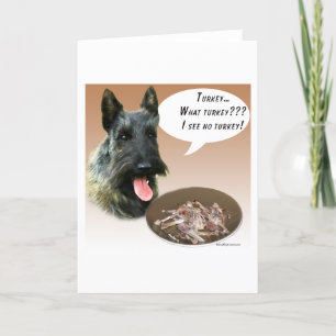 Skotsk Terrier Turkiet Kort