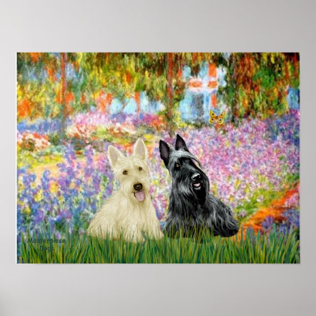 Skotsk terrier (två BW) - Trädgård Poster (Framsidan)