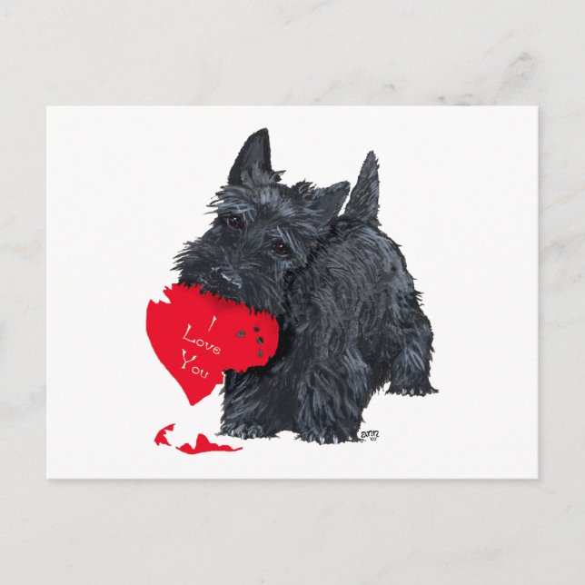Skotsk terrier-valentin helg vykort (Framsida)