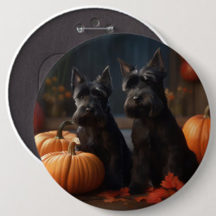 Skotsk Terrier Valp Höstglädje Pumpa Knapp