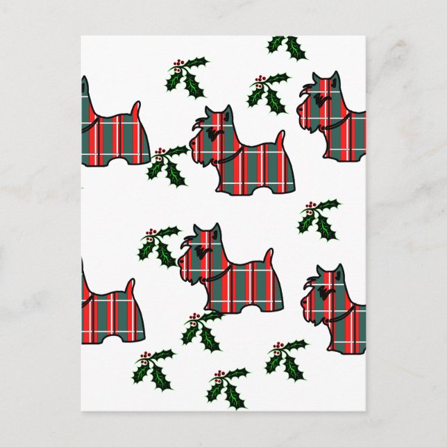 SKOTSK TERRIER VYKORT (Framsida)