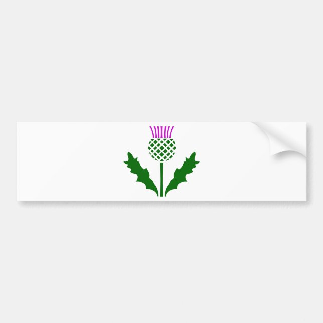 Skotsk Thistle Bildekal (Framsidan)