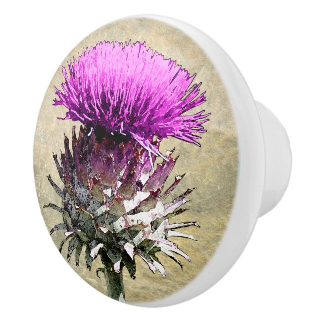 Skotsk Thistle Knopp (Höger)