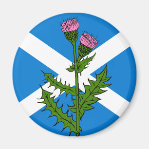 Skotsk thistle magnet