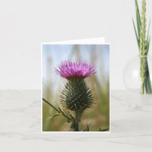 Skotsk Thistle Notecard Kort