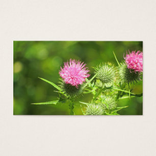 Skotsk Thistle Visitkort
