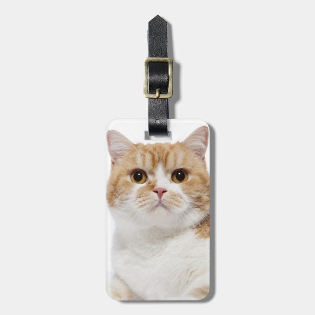 Skotsk veckkatt bagagebricka (Vertikal Framsida)