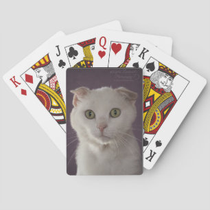Skotsk veckkatt kortlek