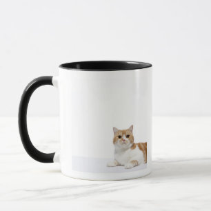 Skotsk veckkatt mugg