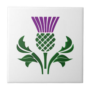 Skotska emblemthistel kakelplatta