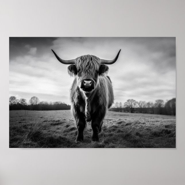 Skotska högland, svart och vitt foto poster (Framsidan)
