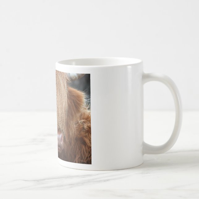 Skotska höglandkor - Skottland Kaffemugg (Höger)