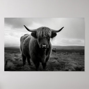 Skotska höglandsisoljor, svart och vitt foto poster