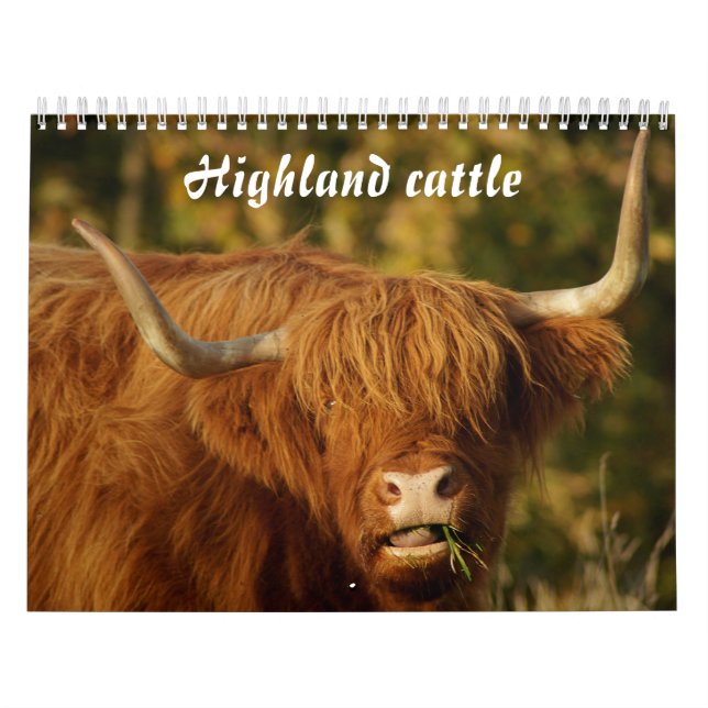 Skotska höglandskägget kalender (Omslag)