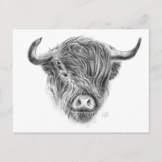 Skotska höglandskäggig illustration vykort