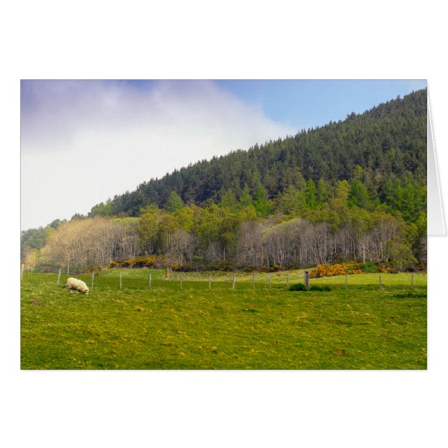 Skotska höglandslandskapet hälsningskort (Framsidan Horizontal)