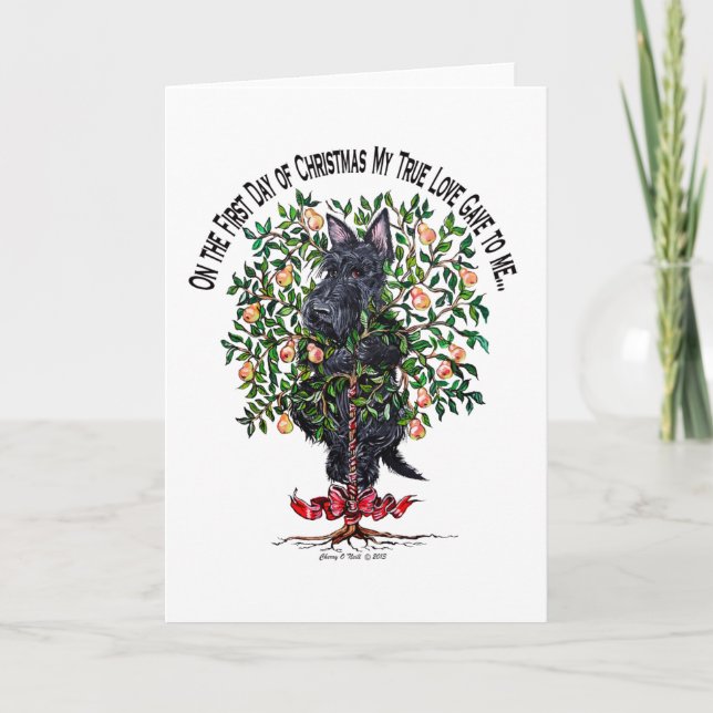 Skotska i Pear Träd Helgkort (Framsida)