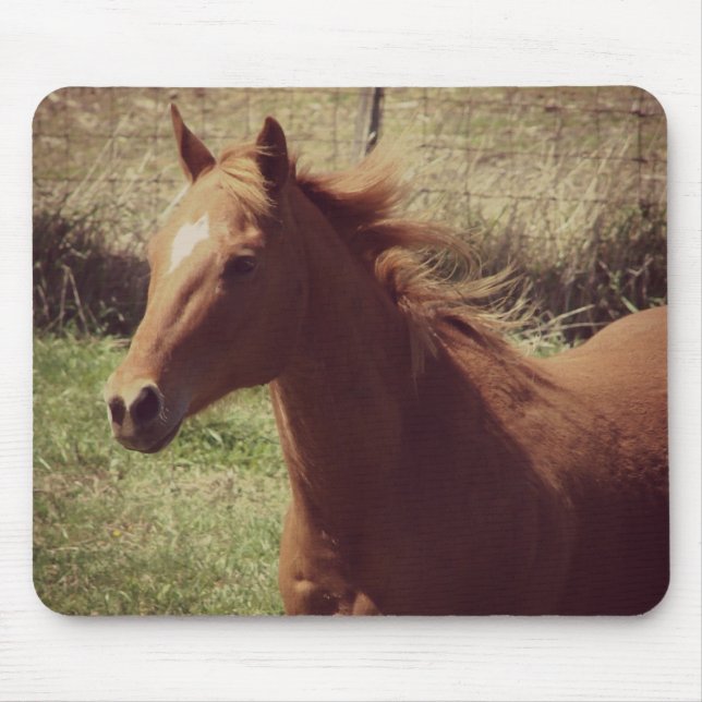 Skotska i Rörelse Musmatta (Framsidan)