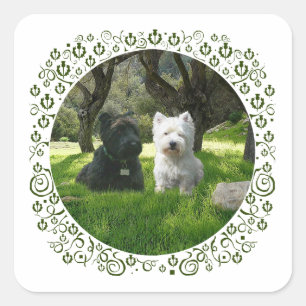 Skotska och West Highland Terrier Greenwood Fyrkantigt Klistermärke