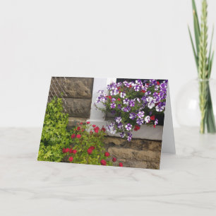 Skotska stuvningsfönster med petunias och ro kort