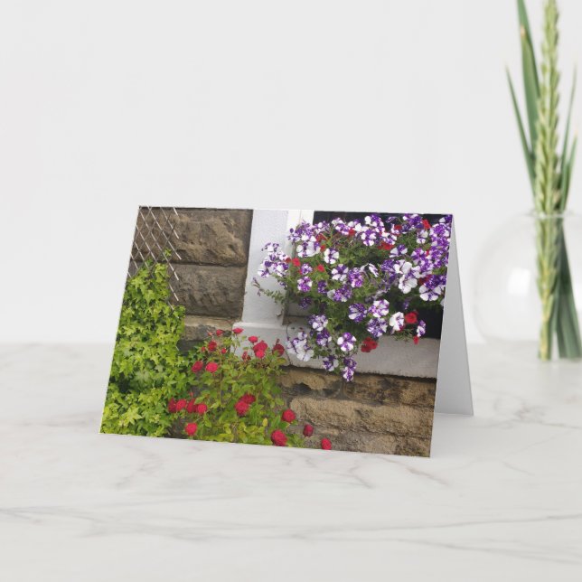 Skotska stuvningsfönster med petunias och ro kort (Framsida)