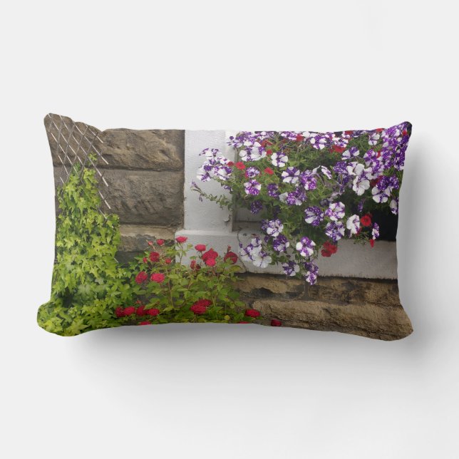 Skotska stuvningsfönster med petunias och ro lumbarkudde (Framsida)