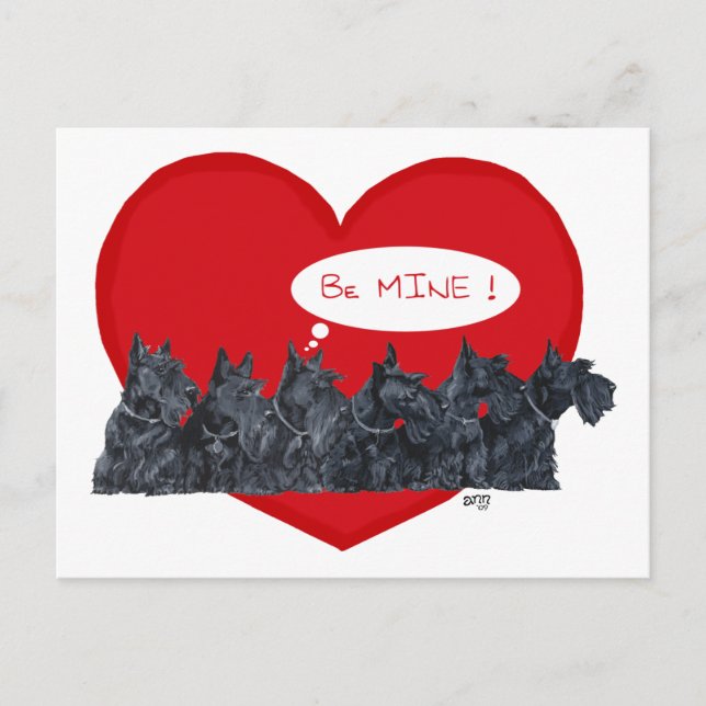 Skotska terrier Valentine Helg Vykort (Framsida)