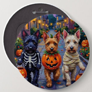 Skotska terrierhundar i Halloween-kostymer Knapp