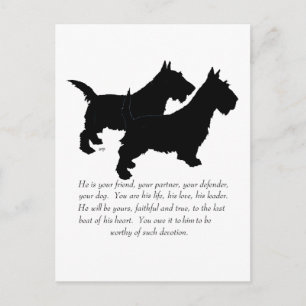 Skotska Terriers Souvenir - HANE Hundar Vykort