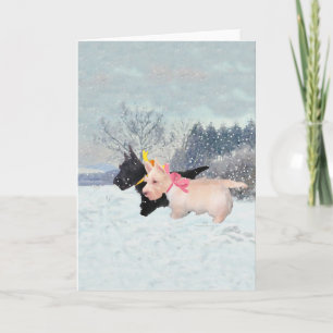 Skotska Valper Helgkort