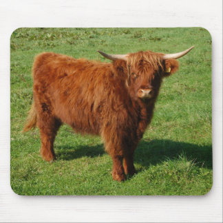 Skotskt höglands- nötkreatur Mousepad Musmatta