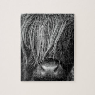 Skotskt höglands- nötkreatur - Skottland Pussel