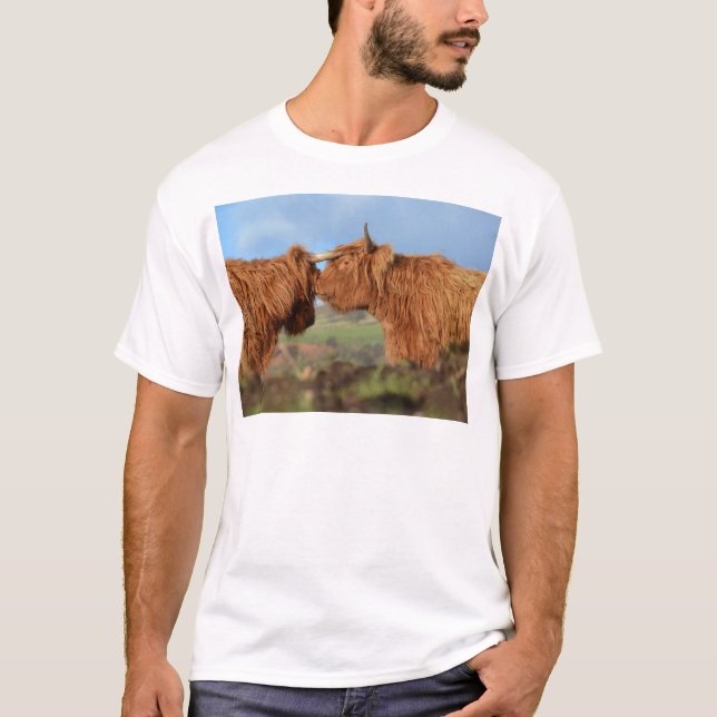 Skotskt höglands- nötkreatur t shirt (Framsida)
