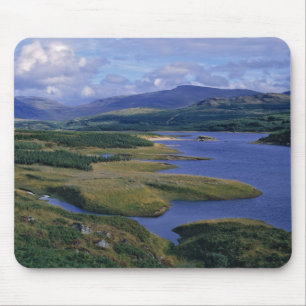 Skottland, Highland, Wester Ross, Loch Garry. En Musmatta