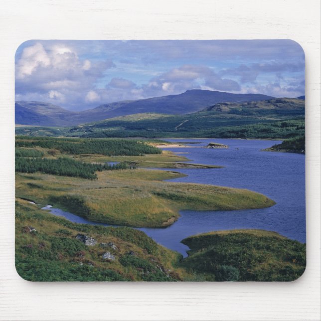 Skottland, Highland, Wester Ross, Loch Garry. En Musmatta (Framsidan)