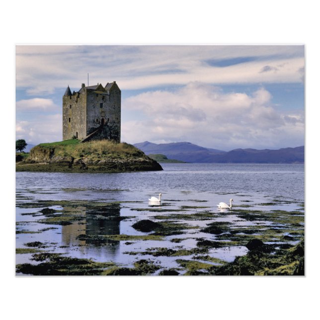 Skottland, Highland, Wester Ross, Stalker Fototryck (Framsidan)