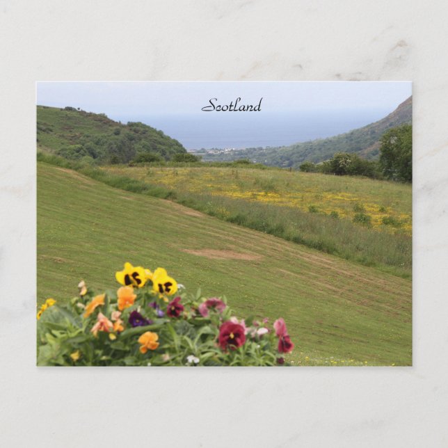 Skottland, högländerna, Ocean, Flowers, Fotography Vykort (Framsida)