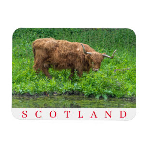 Skottland, höland, kylmagnet magnet