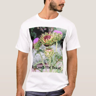 Skottland indiankrigaren tee