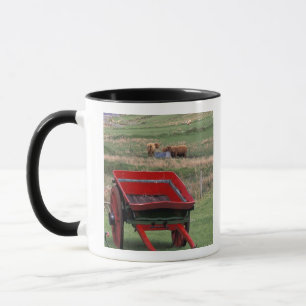Skottland, Isle of Skye, Kilmuir. Jordbruksdjur Mugg