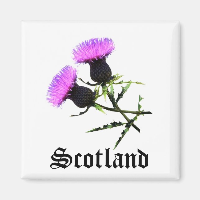Skottland, slit magnet (Framsidan)