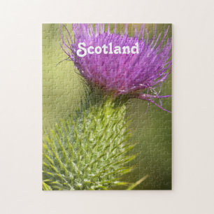 Skottland Thistle Pussel
