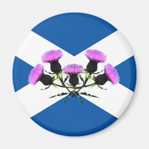 Skottlands blomma, sköldpadda magnet