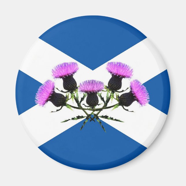 Skottlands blomma, sköldpadda magnet (Framsidan)